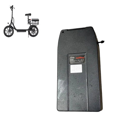 AOVO-PRO-ESBS-Scooter-battery