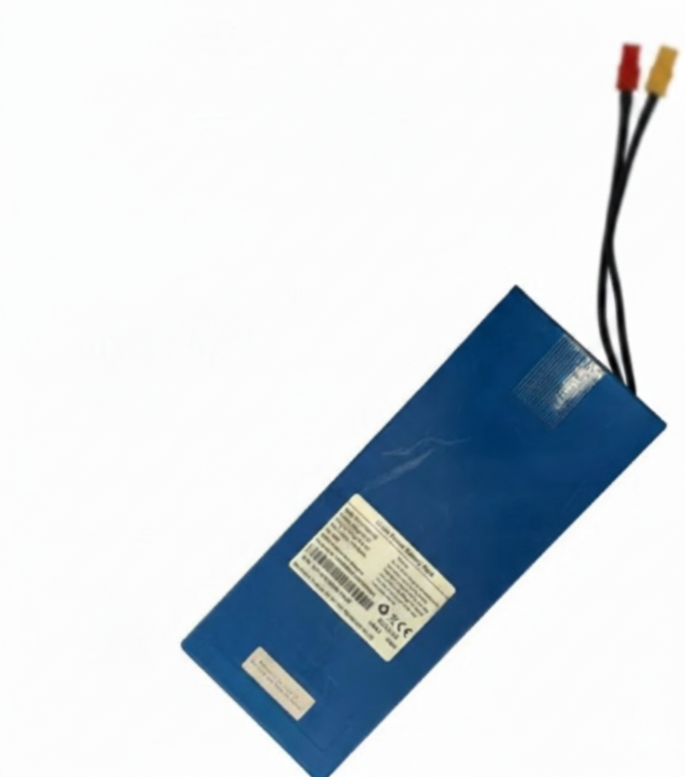 vici off road scooter battery 48v 15AH & 20AH