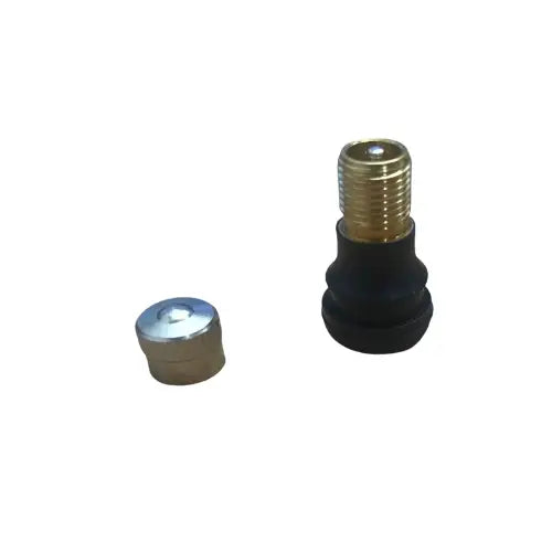 tubeless-tyre-valve-straight-EU
